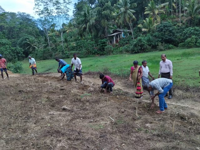 ස්වයංපාලිත කිරි ගොවි සමිතිය සඳහා උසස් ආරයේ තෘණ වගා ඒකකය - පශු සම්පත් 2025