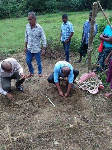 ස්වයංපාලිත කිරි ගොවි සමිතිය සඳහා උසස් ආරයේ තෘණ වගා ඒකකය - පශු සම්පත් 2025