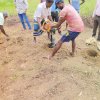 ස්වයංපාලිත කිරි ගොවි සමිතිය සඳහා උසස් ආරයේ තෘණ වගා ඒකකය - පශු සම්පත් 2025