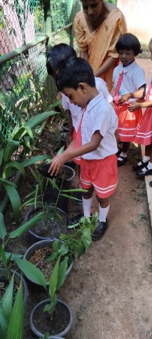 පූර්ව ළමා විය සංවර්ධන මධ්‍යස්ථානය ගුරුවරුන් සඳහා ක්‍රීඩා වැඩසටහන 2025