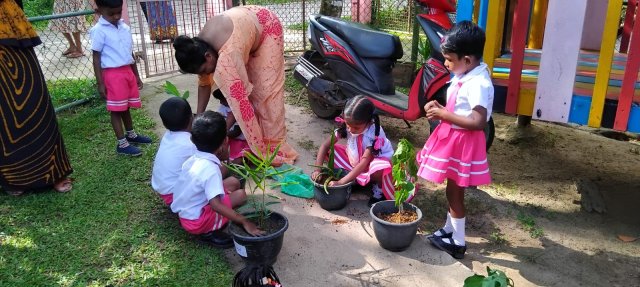 පූර්ව ළමා විය සංවර්ධන මධ්‍යස්ථානය ගුරුවරුන් සඳහා ක්‍රීඩා වැඩසටහන 2025