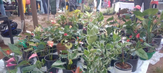 වෙළඳ ප්‍රදර්ශනය 2025