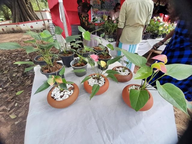 වෙළඳ ප්‍රදර්ශනය 2025